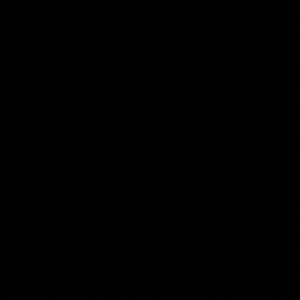 Meet your Posher, Paris